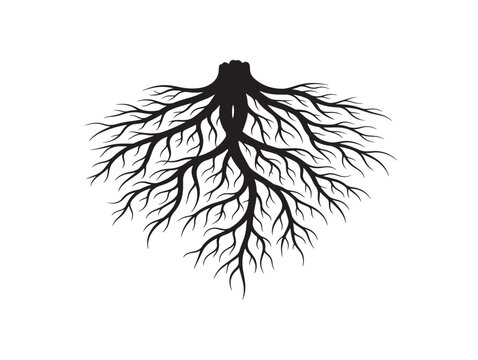 Organic root web silhouette with intricate interconnected structure 