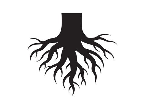 Large root buttress silhouette with majestic forest presence 