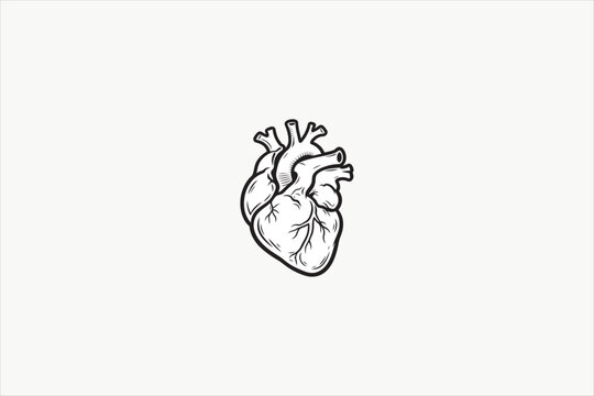 Detailed human heart anatomy illustration in black and white flat style, ideal for medical, healthcare, biology, anatomy, education, and science concepts. Vector illustration.