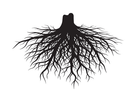 Root tangle mass silhouette with intricate underground patterns 
