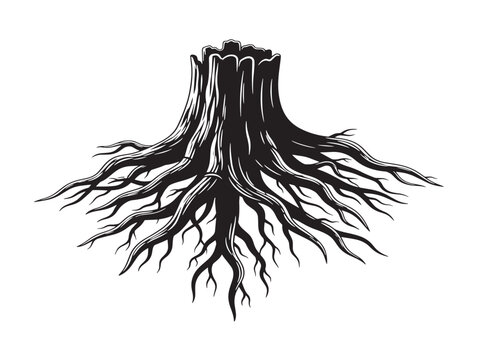 Rustic tree roots with organic earthy visual texture 