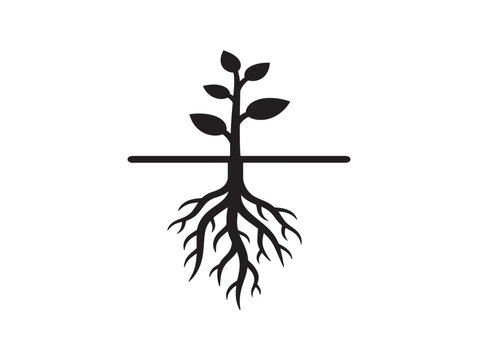 Detailed root depth concept with sophisticated natural structure 