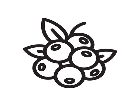 Cluster of Huckleberries with Leaves Line Art Vector Illustration