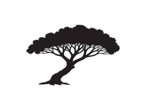 Detailed oak silhouette with strong and timeless woodland design 
