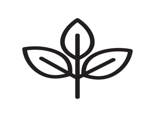 Fototapeta premium minimalist khat leaf line art vector illustration flat design