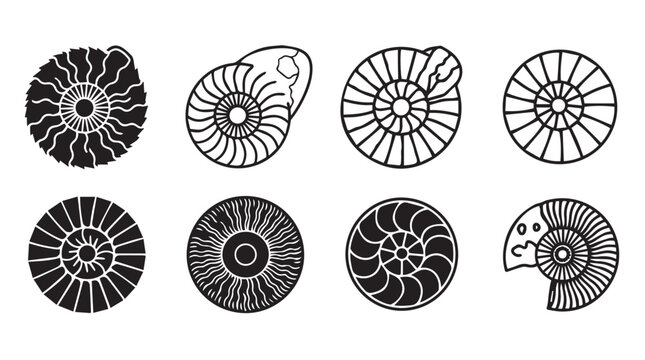 Ammonite fossils in linear and solid black graphic style for science and history projects