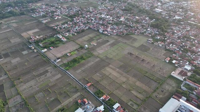 Aerial View of Agricultural Rice Fields Bordering Dense Residential Area in Indonesia
