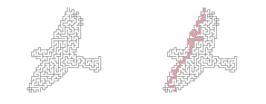 Bird shaped maze with solution. Simple black and white vector labyrinth puzzle, educational logic game for children and adults.