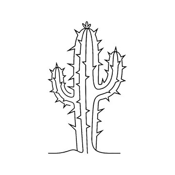Prickly Cactus Plant Closeup View.