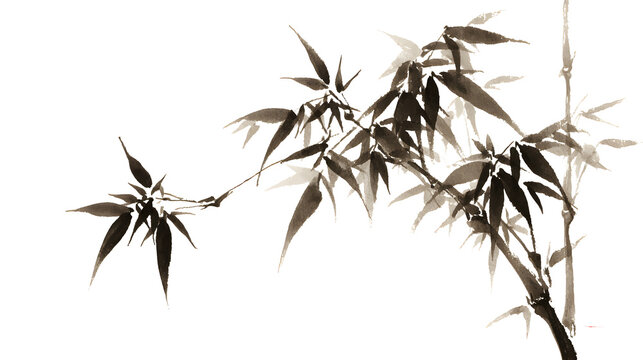 Minimalist sumi e style bamboo branch with dark green leaves on white background