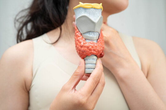 Hyperthyroidism, Overactive Thyroid, Thyroid Lymphoma, Asian woman with thyroid gland human anatomy model.