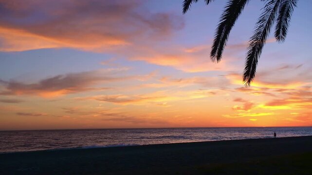 Palm trees against backdrop of sunset over sea. Golden pink sunset at sout Spain. Mediterranean Sea, Waves roll onto sandy beach