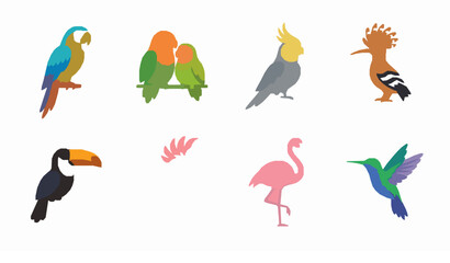 Colorful Bird Icon Collection © SABBIRAHMAD