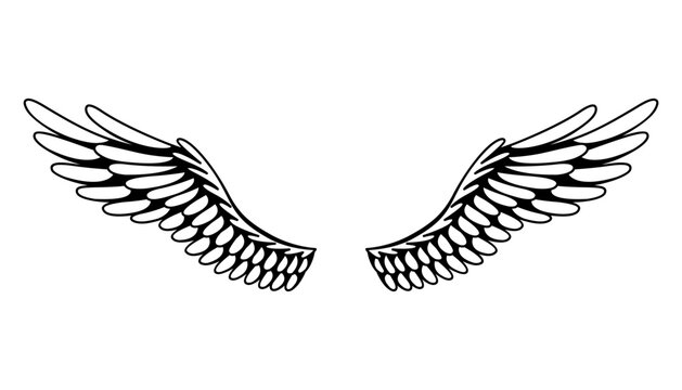 Wings sketch. Stylized birds wings. Hand drawn contoured stiker wing in open position. Vector design elements in coloring style