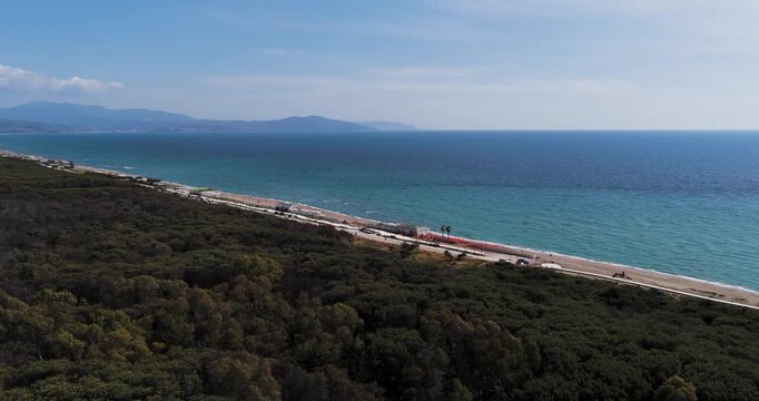 Aerial view of the lush pine forest bordering a sandy beach and turquoise sea under a clear blue sky in Capaccio, Campania, Italy.