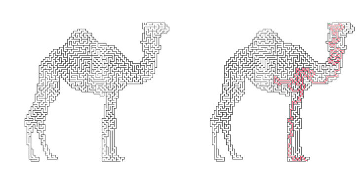 Camel shaped maze with solution. Black and white flat vector labyrinth, simple logic puzzle game for kids and adults.