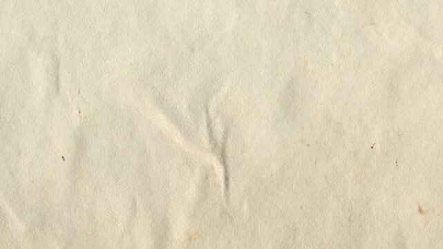 A close-up view of a wrinkled piece of paper with creases and texture.