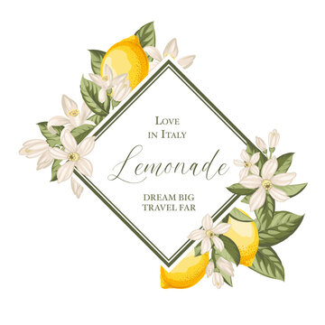 Lemon vintage frame. Italian vector background. Fresh lemon and green