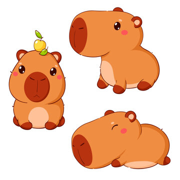Baby collection of little capybara in different poses. Sweet baby animal in kawaii style. Set of cute cartoon pet. Can be used for t-shirt print, sticker, badge, greeting card design. Vector EPS8