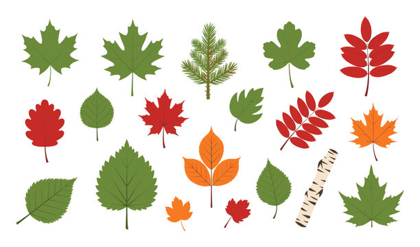 Variety of green red and orange leaves and forest elements for nature themes