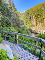Fototapeta premium Wooden walkway decking winding its way through the Storms River Mouth area
