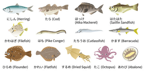 かわいい魚介類のイラストセット ニシンやタラやホッケやヒラメやカレイなど