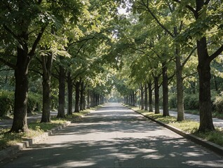 Obraz premium Long straight asphalt road lined with green trees in symmetrical perspective ideal for travel and journey concept marketing