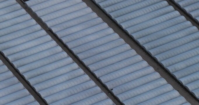Aerial view of rows of greenhouses and agricultural tunnels with geometric patterns and white plastic covers in Capaccio, Campania, Italy.