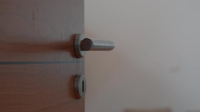 Close details of modern door handle on wooden door in minimal home interior setting