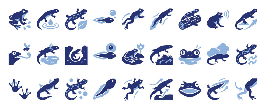 Amphibian life cycle vector icons including frogs newts and tadpoles for science education