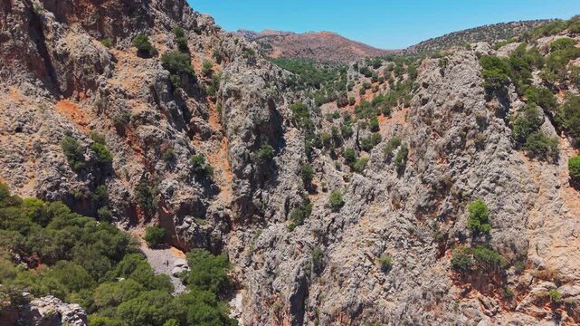 Flying through a dry arid canyon with rocky cliffs and green olive trees