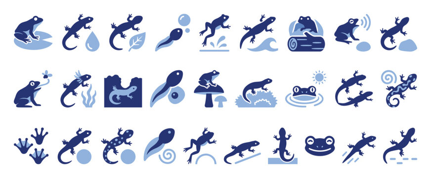 Blue amphibian icons for educational resources and wildlife conservation themes