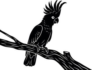 A high contrast black vector silhouette of a majestic cockatoo perched on a textured tree branch © Shoaib