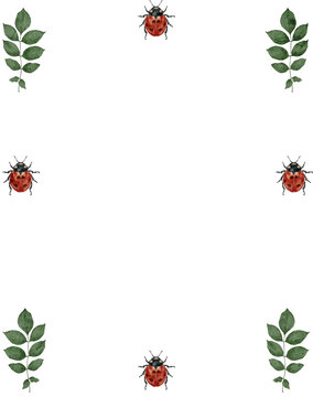 Lady bug and leaf illustration 