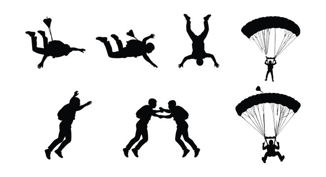 Silhouette of parachuters with parachutes high-quality professional