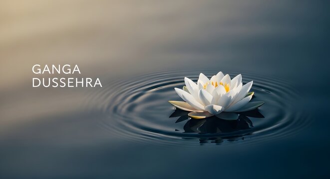 Ganga Dussehra greeting concept with white lotus flower floating on water surface with ripples