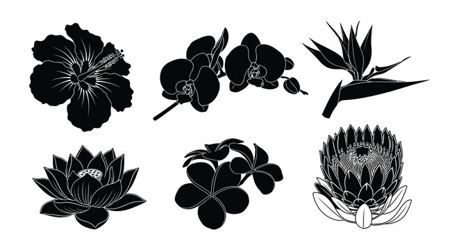 Black and white floral icons with various flowers