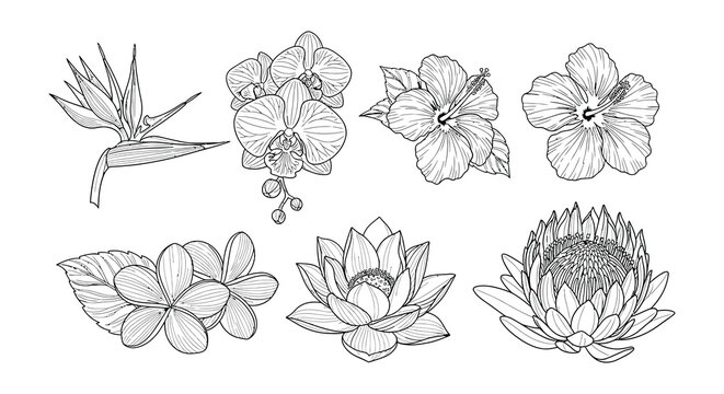 Black and white floral icons with various flowers