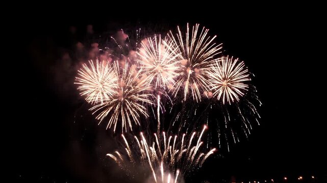Colorful fireworks celebration exploding in the dark night sky during a festive show