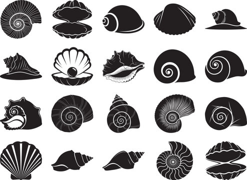 Collection of Black Silhouettes of Various Seashells