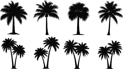 Palm tree silhouettes tropical variations different shapes fronds trunks leaning upright design vector illustration black botanical concept image © MdMarijul