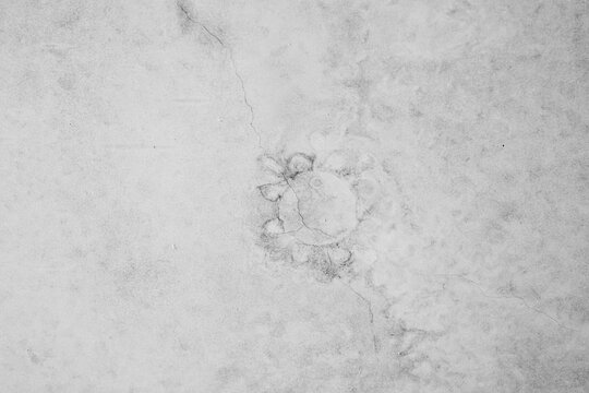Fossilized imprint on ancient stone surface