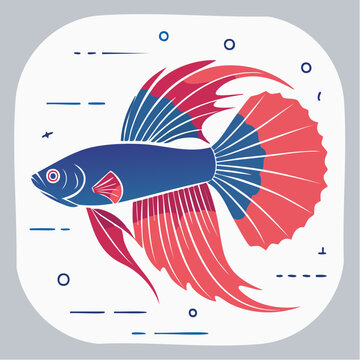 Stylized Betta Fish Illustration