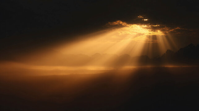 A dawn landscape with powerful golden rays of the sun breaking through dark storm clouds and fog over a field and tree silhouettes.