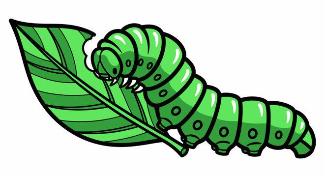 Cartoon caterpillar on green leaf eating isolated graphic illustration