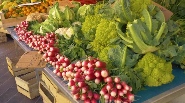 Fresh vegetables displayed at farmers market stall