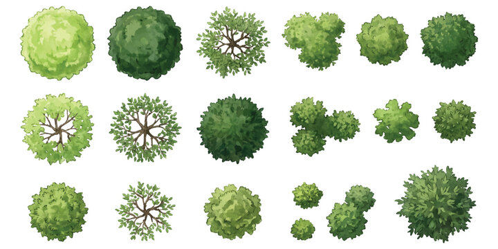 Set of various green trees and bushes seen from above for landscape design and architectural site plans