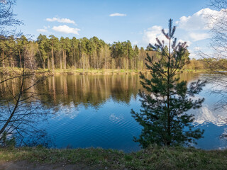 Obraz premium Tranquil Lakeside Reflection on a Sunny Day