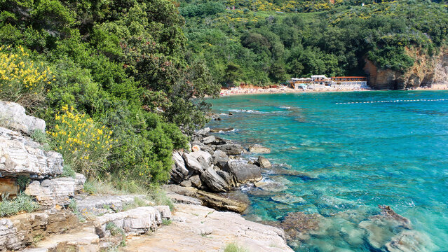 Budva, Montenegro - panoramic view of Mogren Beach with turquoise water, rocky shore and coastal vegetation