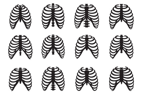 Human rib cage vector icons set, anatomical chest bone structure silhouettes, 12 medical ribcage illustrations for healthcare and biology education